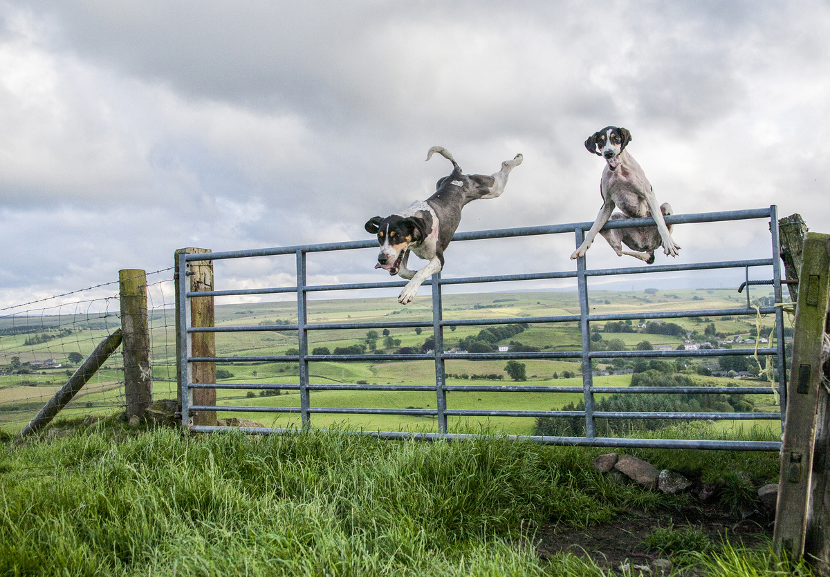 4 Stuck on the top - Barry Turnbull